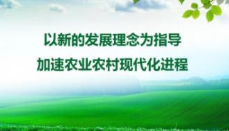 重磅文件发布！对检测认证有这些新消息